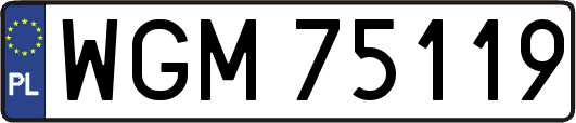 WGM75119