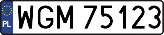 WGM75123