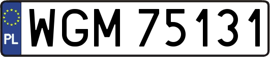 WGM75131