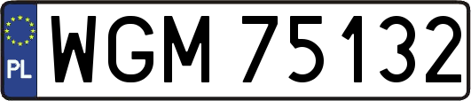 WGM75132