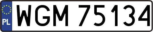 WGM75134