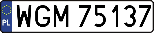 WGM75137