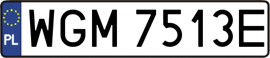 WGM7513E