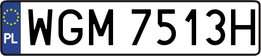 WGM7513H