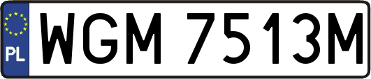 WGM7513M