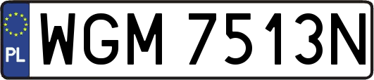 WGM7513N