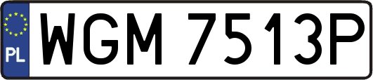 WGM7513P
