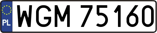 WGM75160