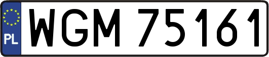 WGM75161