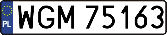 WGM75163