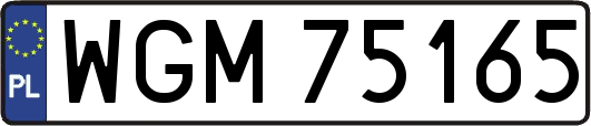 WGM75165