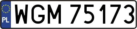WGM75173