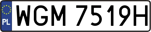 WGM7519H