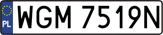 WGM7519N