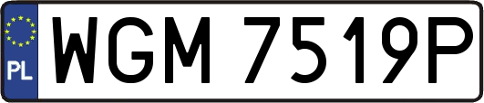 WGM7519P