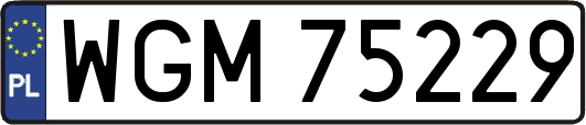 WGM75229