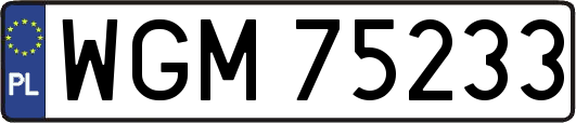WGM75233