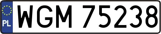 WGM75238