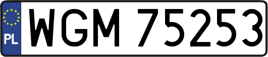 WGM75253