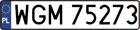 WGM75273