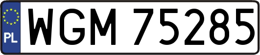 WGM75285