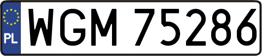 WGM75286