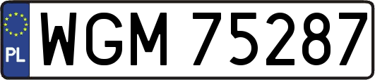 WGM75287