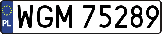 WGM75289