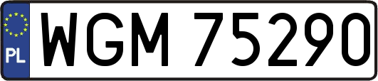 WGM75290