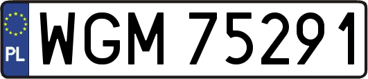 WGM75291
