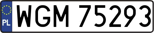 WGM75293
