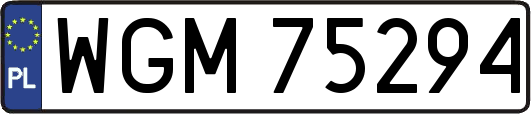 WGM75294