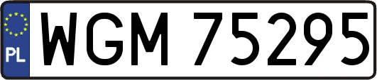 WGM75295
