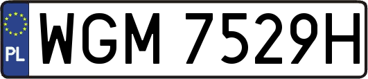 WGM7529H