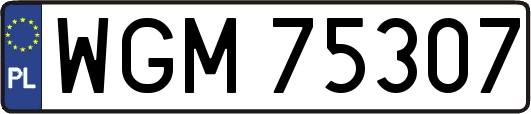 WGM75307