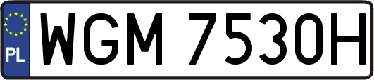 WGM7530H