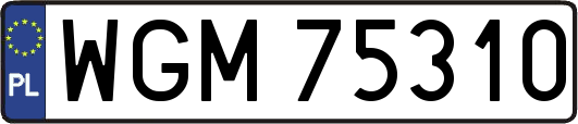 WGM75310