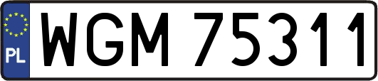 WGM75311