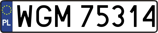 WGM75314