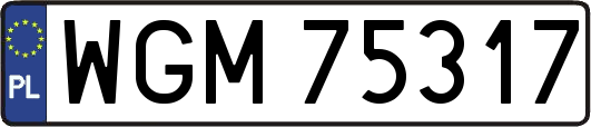 WGM75317