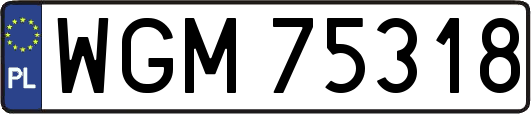WGM75318