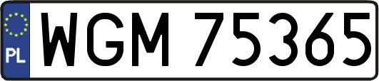 WGM75365