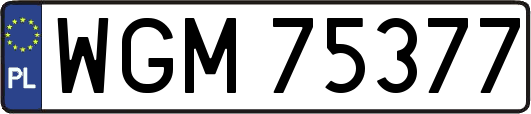 WGM75377