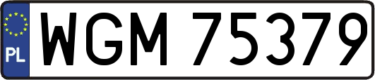 WGM75379
