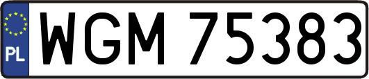 WGM75383