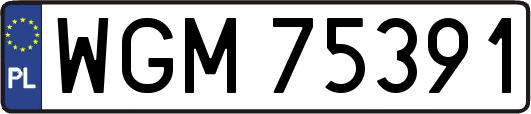 WGM75391