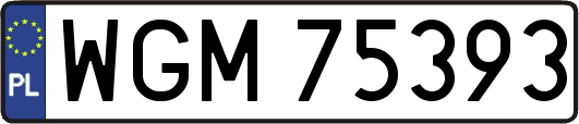 WGM75393