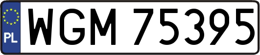 WGM75395