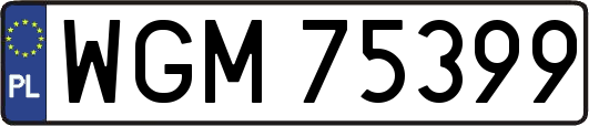 WGM75399