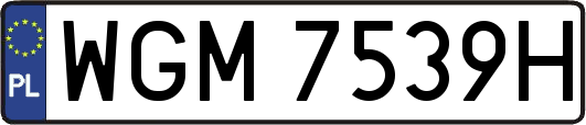WGM7539H